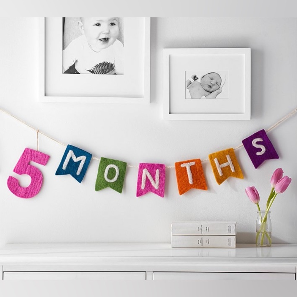 Pottery barn milestone garland